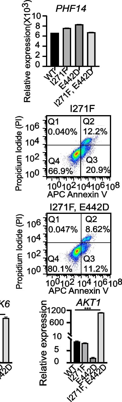 Open access visualization of Scatter Plot, Bar Plot, mRNA expression, PHF14, HEK293 Cells