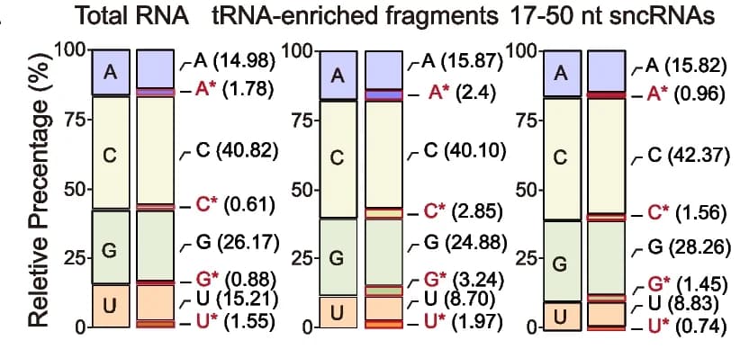 Open access visualization of Stacked Bar Plot, RNA modification, Nucleotides, tRNA, sncRNAs