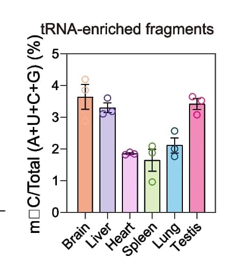 Open access visualization of Bar Plot, Error Bars, Scatter Plot, m5C, tRNA-enriched fragments