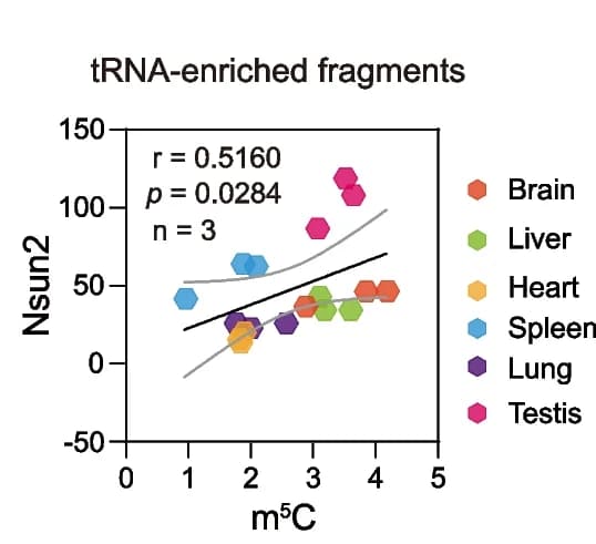 Open access visualization of Scatter Plot, Regression Plot, Nsun2, m5C, tRNA-enriched fragments