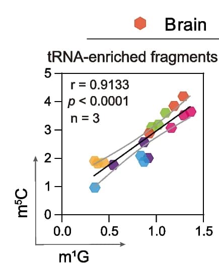 Open access visualization of Scatter Plot, Regression Plot, m1G, m5C, Total RNA