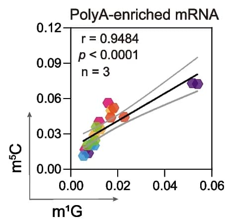 Open access visualization of Scatter Plot, Regression Plot, m1G, m5C, tRNA-enriched fragments