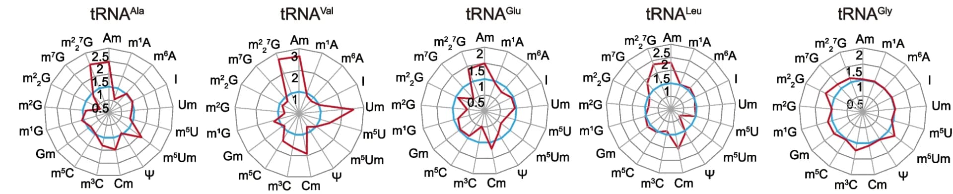 Open access visualization of Radar Chart, RNA Modifications, Liver, Endo-tRNA, Hypobaric Hypoxia