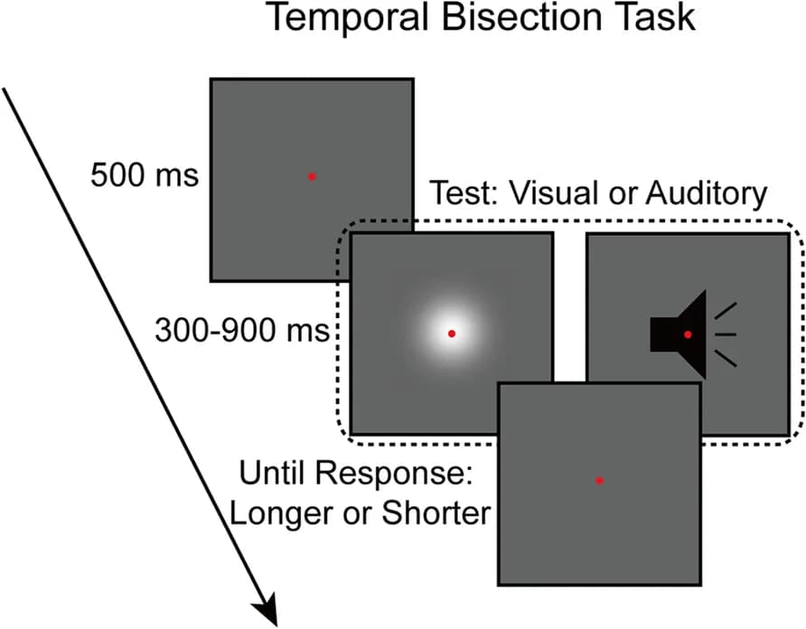 Open access visualization of Workflow, Flowchart, Illustration, Trial, Participants