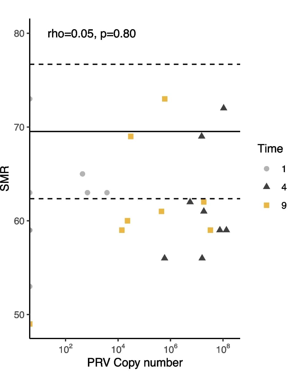 Open access visualization of Scatter Plot, SMR, PRV Copy Number, Control Samples, Time