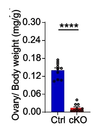Open access visualization of Bar Plot, Scatter Plot, Error Bars, Ovarian Atrophy, cKO Mice
