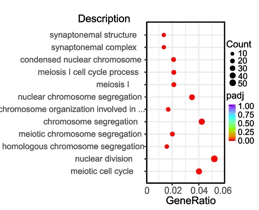 Open access visualization of Bubble Plot, Scatter Plot, GO Enrichment Analysis, Differentially Expressed Genes