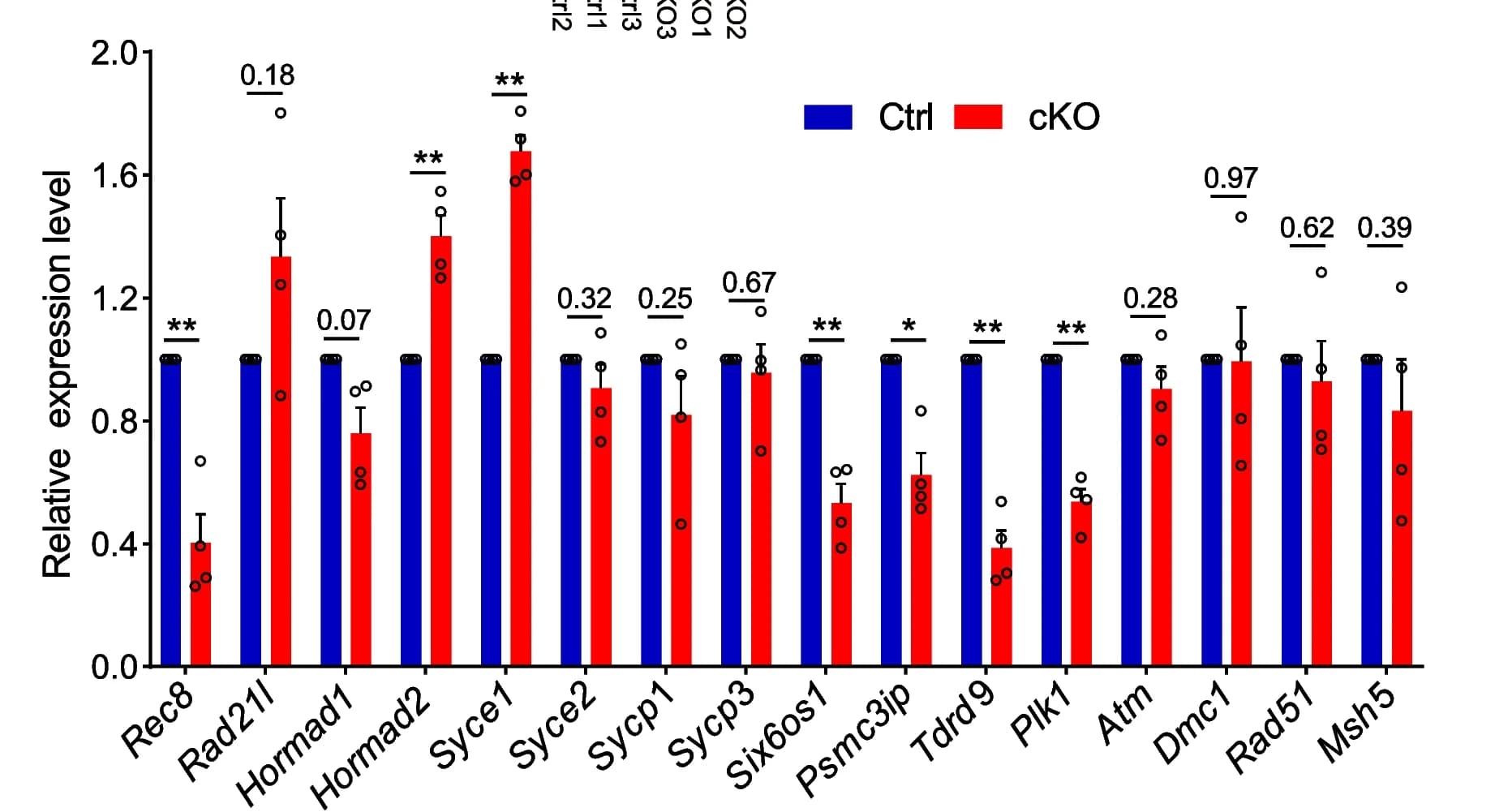 Open access visualization of Bar Plot, Error Bars, Clustered, Scatter Plot, qPCR