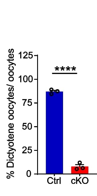 Open access visualization of Bar Plot, Error Bars, Cell Percentage, Dictyotene Oocytes, Mouse Ovaries