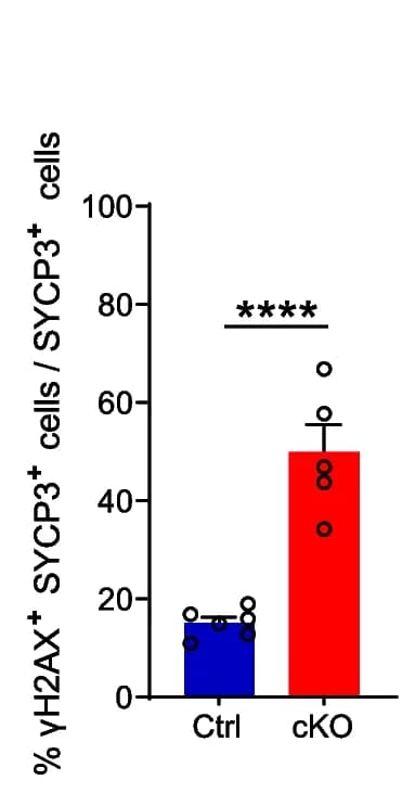 Open access visualization of Bar Plot, Error Bars, Double-positive cells, Ovaries, SEM