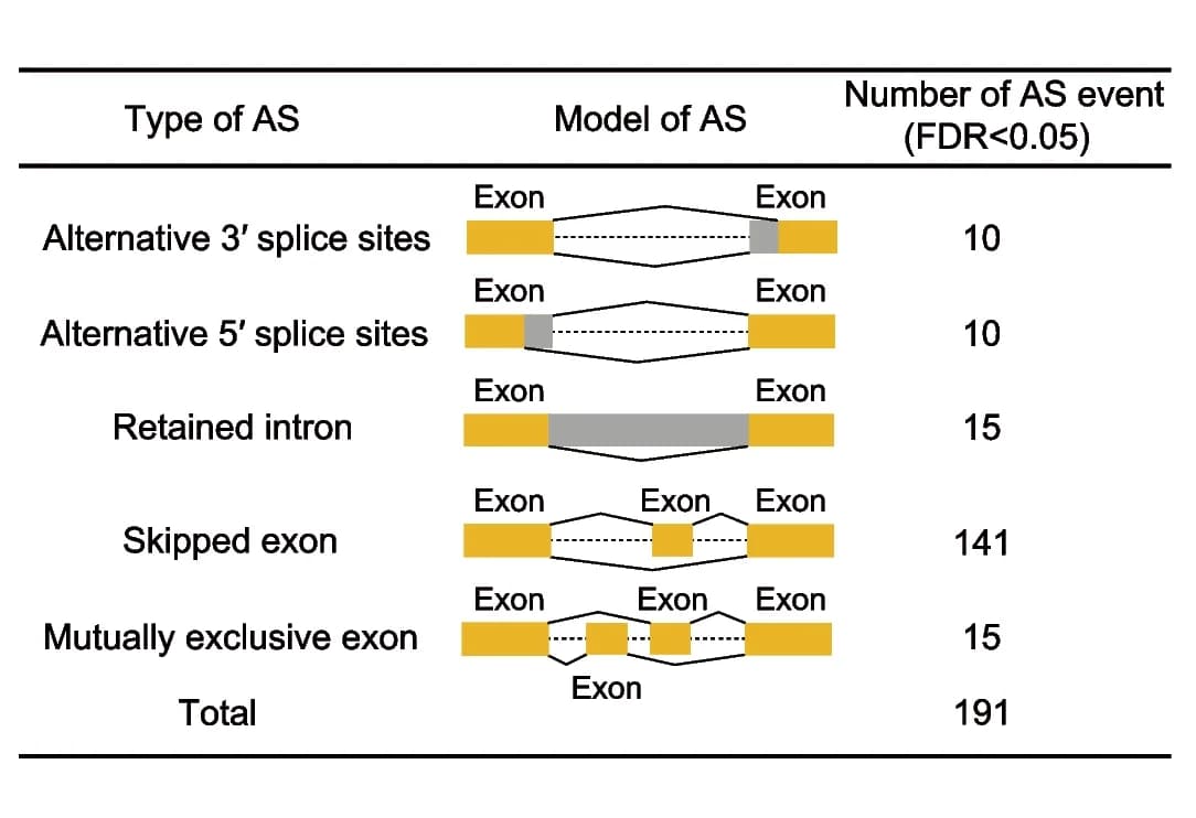 Open access visualization of Workflow, Illustration, Table Image, Alternative splicing, Oocytes