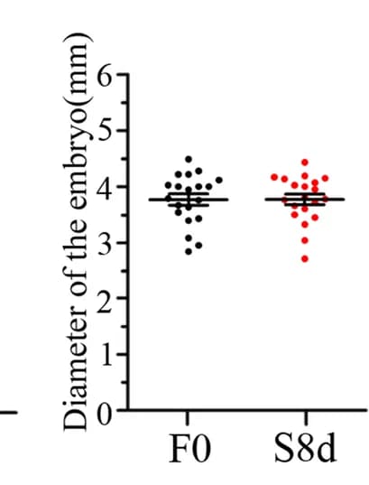 Open access visualization of Scatter Plot, Blastoderm, Diameter