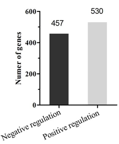 Open access visualization of Bar Plot, Annotated genes, Negative regulation, Positive regulation, Cell proliferation