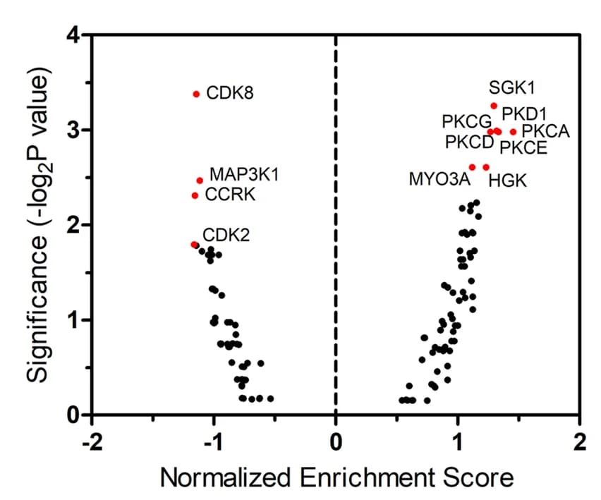 Open access visualization of Volcano Plot, Scatter Plot, Enrichment score, Protein kinases, Kinase-substrate enrichment analysis
