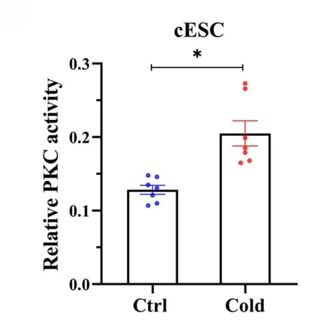Open access visualization of Bar Plot, Error Bars, PKC Activity, cESCs, Cold Stimulation