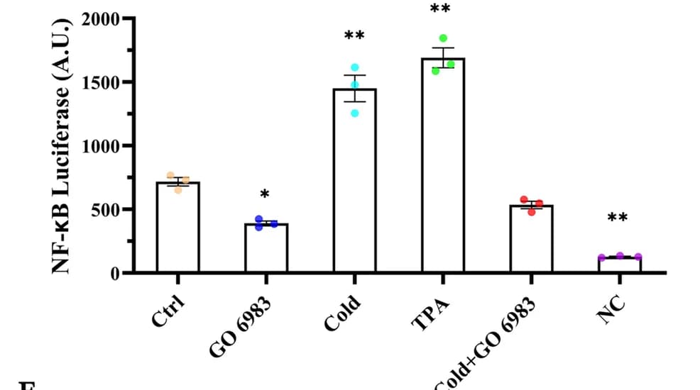 Open access visualization of Bar Plot, Error Bars, Scatter Plot, NF-kB Luciferase, cESCs