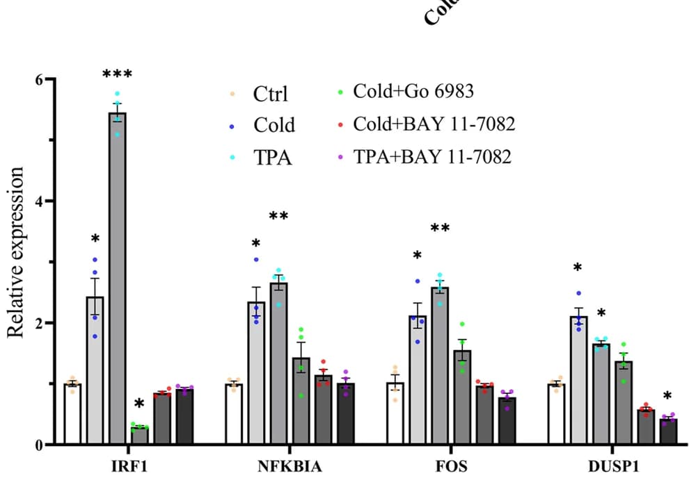 Open access visualization of Bar Plot, Error Bars, Clustered, Gene Expression, Cold Stimuli