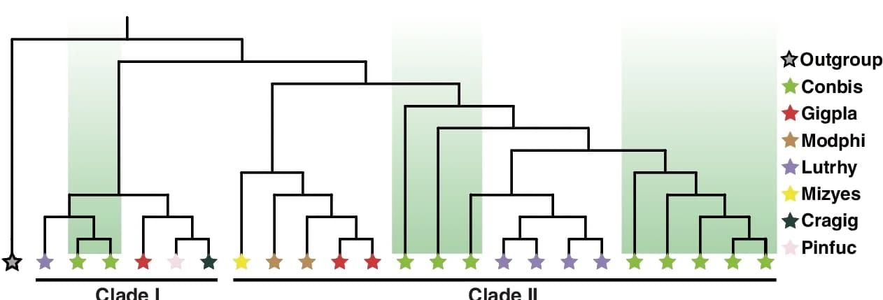 Open access visualization of Line Plot, Line Step, Phylogenetic Tree, Amino Acids, Mucolipins