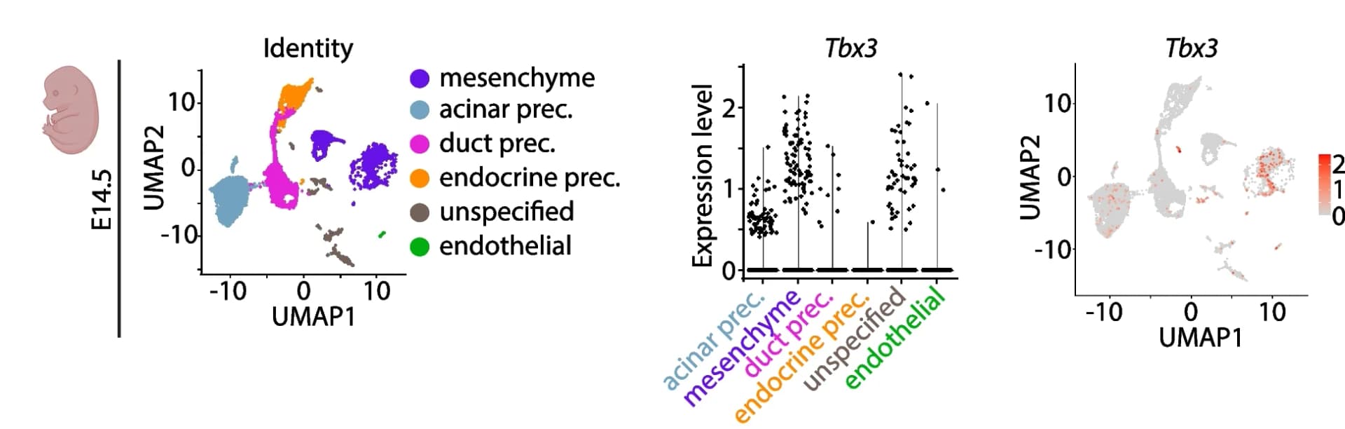 Open access visualization of UMAP, Scatter Plot, Box Plot, Single-cell transcriptomic data, Murine pancreata
