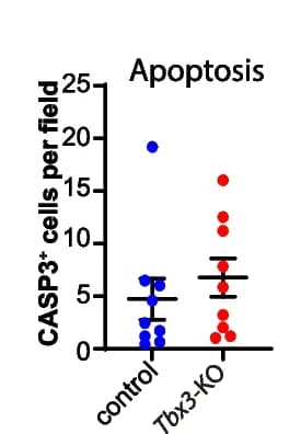 Open access visualization of Scatter Plot, Error Bars, Quantifications, DAPI, Immunofluorescence Analysis