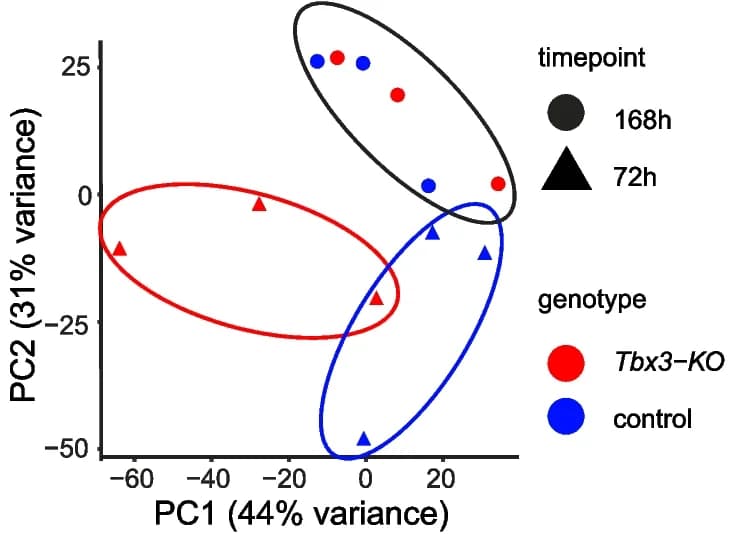 Open access visualization of Scatter Plot, PCA, Principal Component Analysis, Mice, Genotype