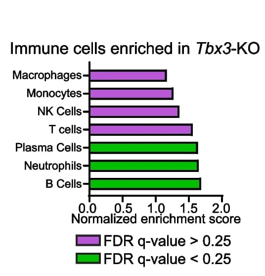Open access visualization of Bar Plot, Gene Set Enrichment Analysis, Immune Cell Signatures, Mice