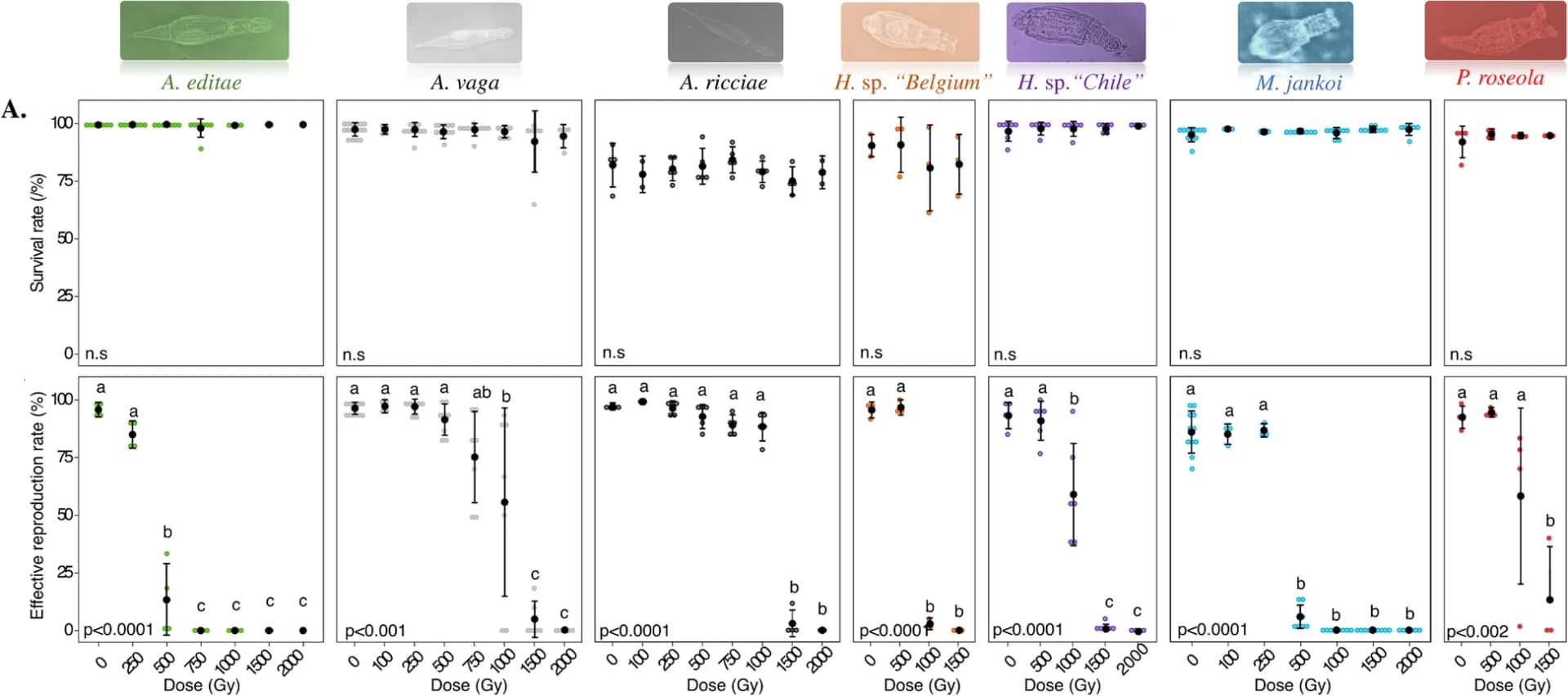 Open access visualization of Scatter Plot, Error Bars, Line Plot, Reproductive Capacity, Desiccation-Tolerant Bdelloid Rotifers