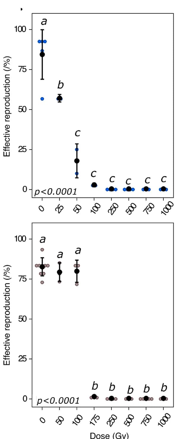 Open access visualization of Scatter Plot, Error Bars, Reproductive Capacity, X-ray, Rotaria macrura