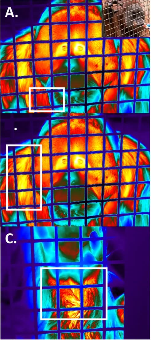 Open access visualization of Photo, Microscopy, Shoulder, Heart Rate
