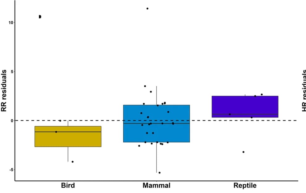 Open access visualization of Box Plot, Scatter Plot, RR residuals, Taxa