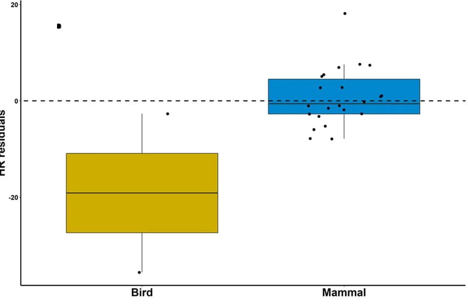 Open access visualization of Box Plot, Scatter Plot, HR residuals, Taxa