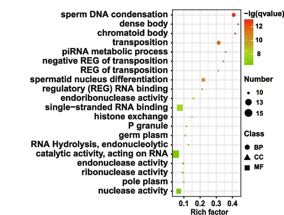 Open access visualization of Scatter Plot, Volcano Plot, Enrichment Analysis, Genes, Channel Catfish