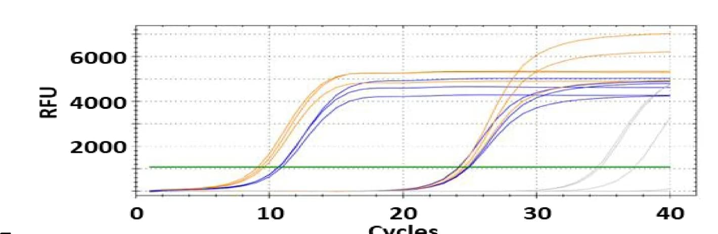 Open access visualization of Line Plot, Quantitative Real-Time PCR, Xba Element, Channel Catfish, Blue Catfish