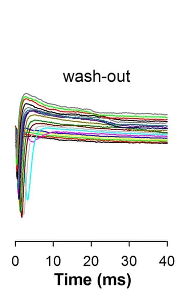 Open access visualization of Line Plot, Voltage Clamp Recordings, Wash-out