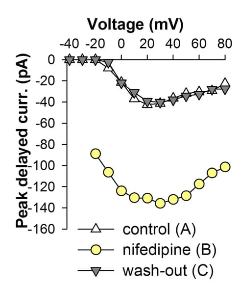 Open access visualization of Line Plot, I-V Relations, Inward Currents