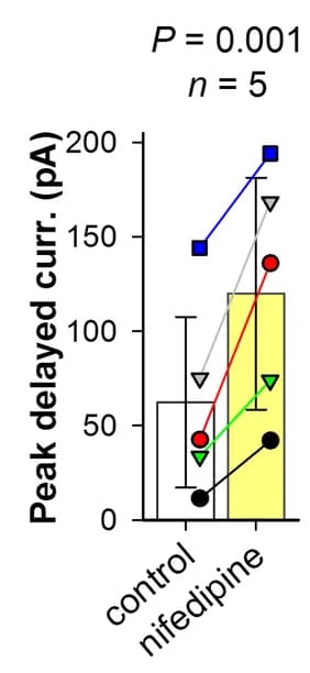 Open access visualization of Bar Plot, Error Bars, Scatter Plot, Line Plot, Peak Delayed Inward Current