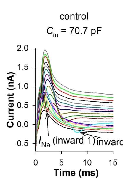 Open access visualization of Line Plot, Voltage Clamp Recordings, Control Conditions
