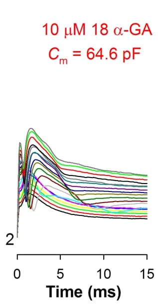 Open access visualization of Line Plot, Voltage Clamp Recordings, 18α-GA