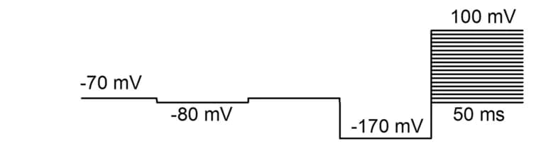 Open access visualization of Line Step, Experimental Protocol, Sodium Current, Membrane Capacitance, Leak Current