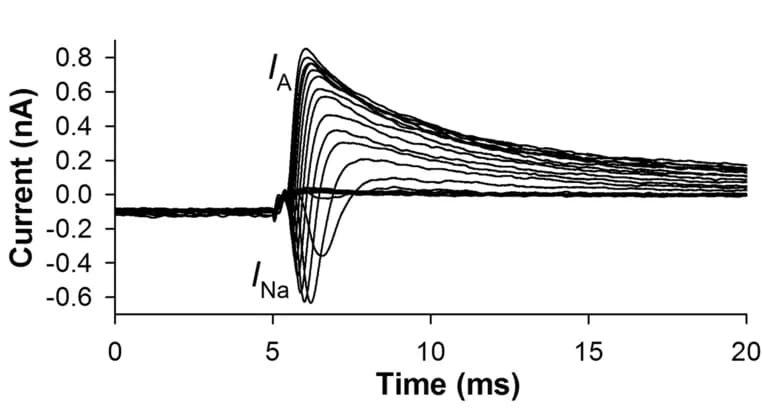 Open access visualization of Line Plot, Whole-Cell Currents, Capacitive Current, Sodium Current, Potassium Currents