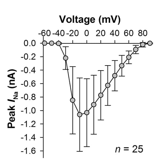 Open access visualization of Line Plot, Error Bars, Current-Voltage Relationship, Voltage-Activated Na+ Currents