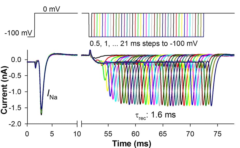 Open access visualization of Line Plot, Line Step, Voltage-Activated Na+ Currents, Inactivation Recovery