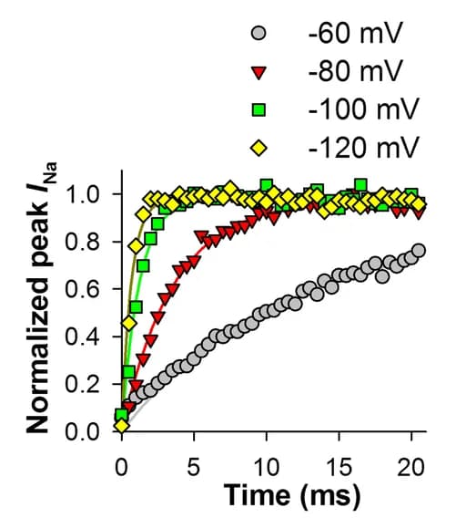 Open access visualization of Line Plot, Scatter Plot, Voltage-Activated Na+ Currents, Inactivation Recovery, Time Constants