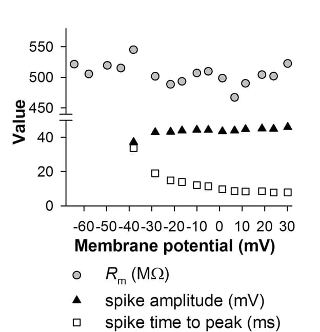 Open access visualization of Scatter Plot, Membrane Resistance, Spike Amplitude, Spike Time to Peak, Membrane Potential