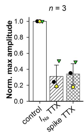 Open access visualization of Bar Plot, Error Bars, TTX, Sodium Channel, Spikes