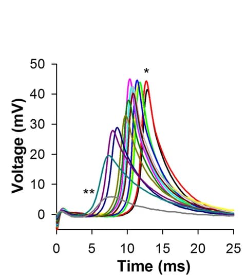 Open access visualization of Line Plot, Spikes