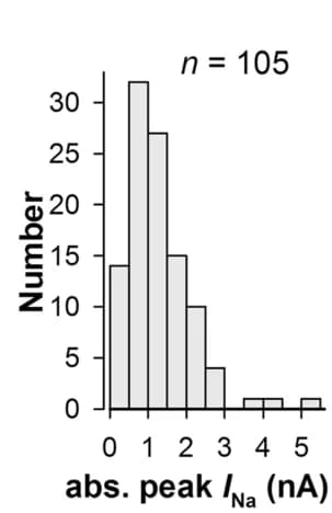 Open access visualization of Histogram, I Na, Amplitudes, Distribution, Normality test