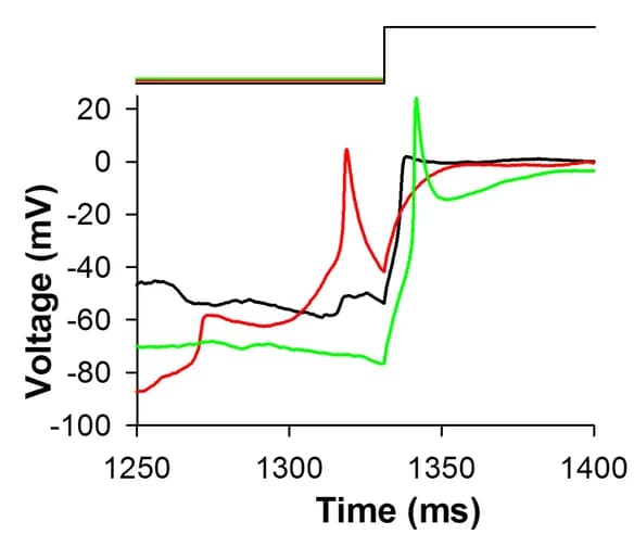Open access visualization of Line Plot, Spike, Segment