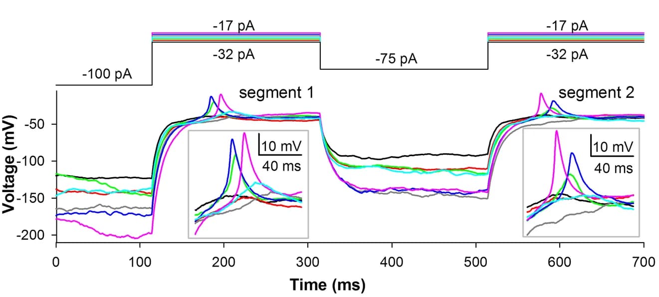 Open access visualization of Line Plot, Line Step, Spike Properties, Sodium Current, Activation Threshold