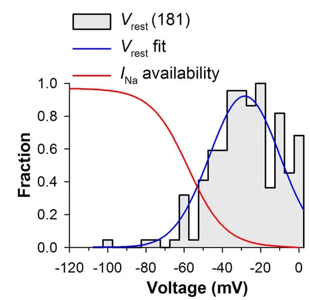 Open access visualization of Histogram, Line Plot, Resting Potentials, Gaussian Fit, Sodium Current